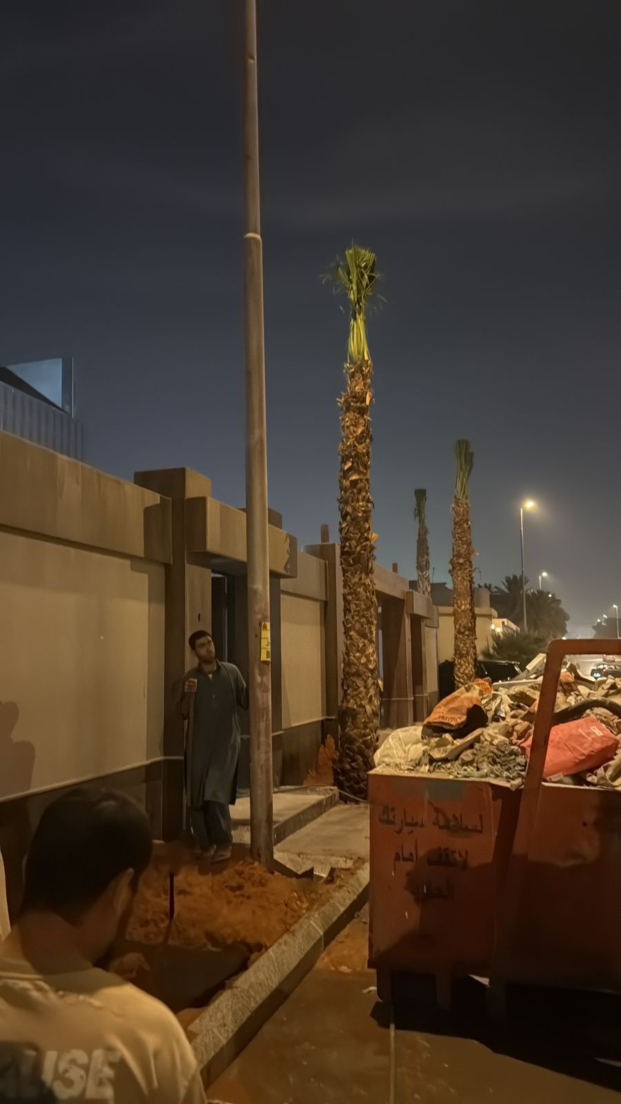 العناية بالنخيل بعد الزراعة